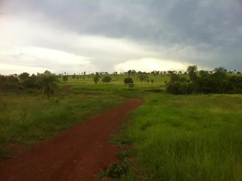Fazenda em Caracol/Mato Grosso do Sul — Ref U5EHWL — Imagem 14