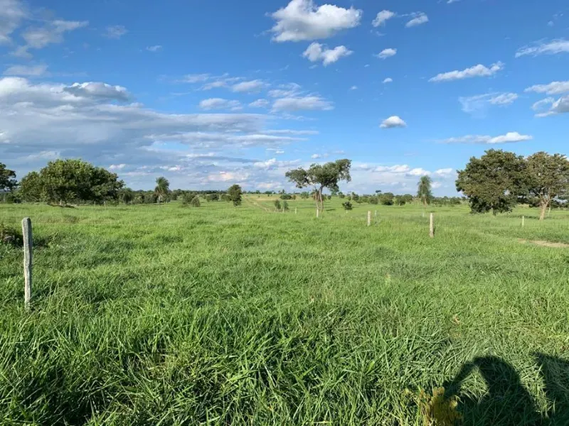 Fazenda em Caracol/Mato Grosso do Sul — Ref U5EHWL — Imagem 15