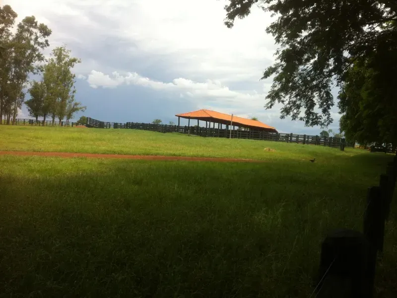 Fazenda em Caracol/Mato Grosso do Sul — Ref U5EHWL — Imagem 19