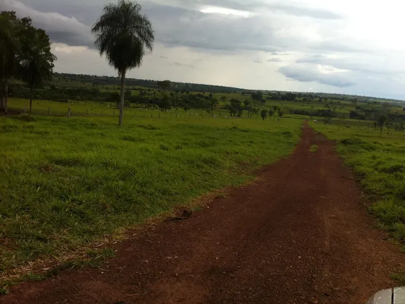 Fazenda em Caracol/Mato Grosso do Sul — Ref U5EHWL — Imagem 20