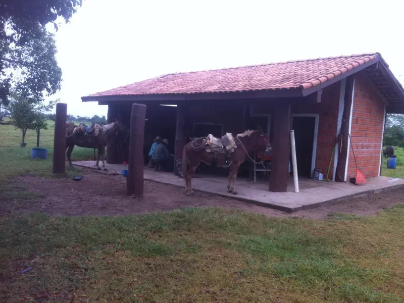 Fazenda em Caracol/Mato Grosso do Sul — Ref U5EHWL — Imagem 21