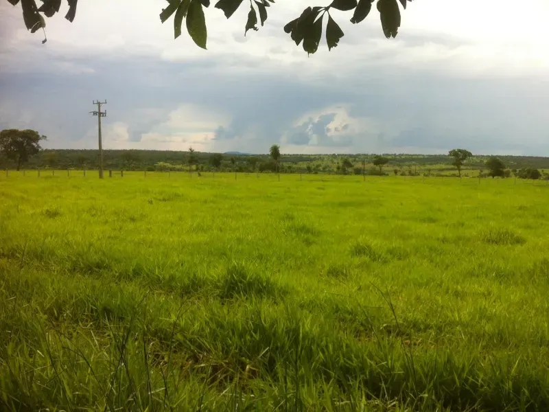 Fazenda em Caracol/Mato Grosso do Sul — Ref U5EHWL — Imagem 22