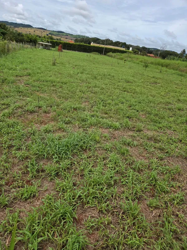 Chácara em Nerópolis/Goiás — Ref X2H3CV — Imagem 6