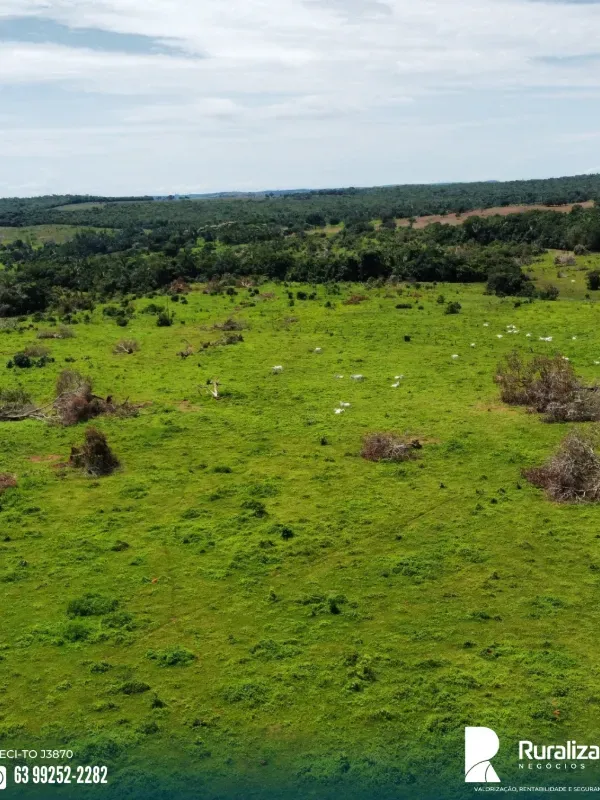 Fazenda em Miracema do Tocantins/Tocantins — Ref PYANVO — Imagem 2