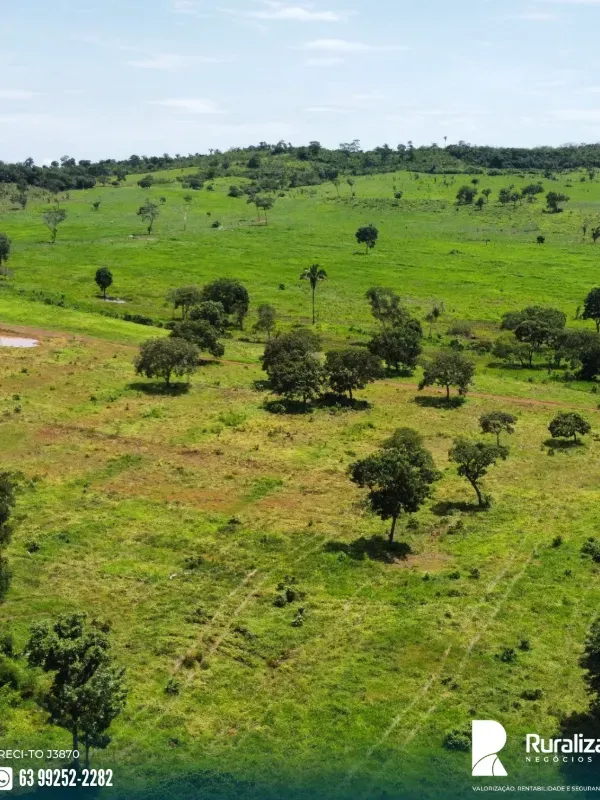 Fazenda em Miracema do Tocantins/Tocantins — Ref PYANVO — Imagem 3