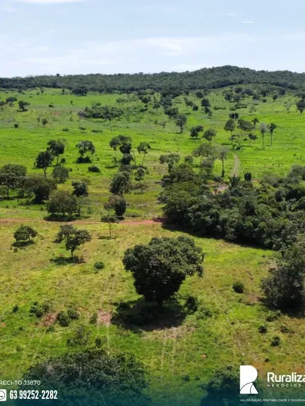 Fazenda em Miracema do Tocantins/Tocantins — Ref PYANVO — Imagem 4