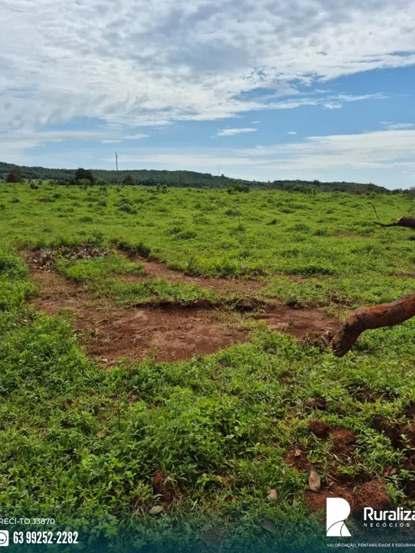 Fazenda em Miracema do Tocantins/Tocantins — Ref PYANVO — Imagem 6