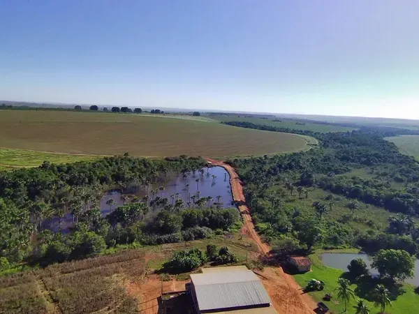 O que são imóveis rurais e como eles se diferenciam de outros tipos de propriedade