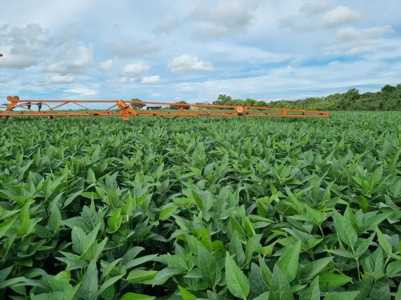 Imóvel rural em Pium/Tocantins — Ref 6EPCUG1