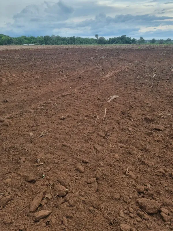 Fazenda em Pium/Tocantins — Ref 6EPCUG — Imagem 3