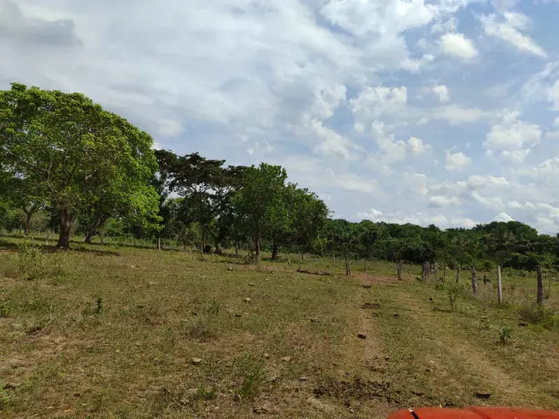 Fazenda em Dois Irmãos do Tocantins/Tocantins — Ref CXCQXE — Imagem 2