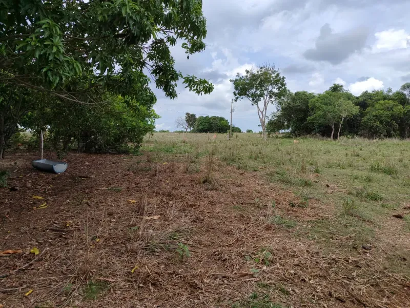 Fazenda em Dois Irmãos do Tocantins/Tocantins — Ref CXCQXE — Imagem 3