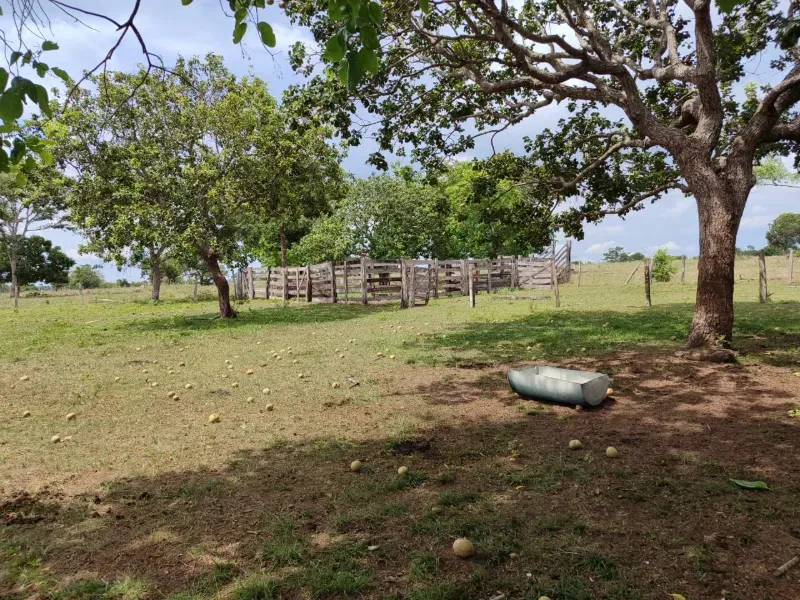 Fazenda em Dois Irmãos do Tocantins/Tocantins — Ref CXCQXE — Imagem 4