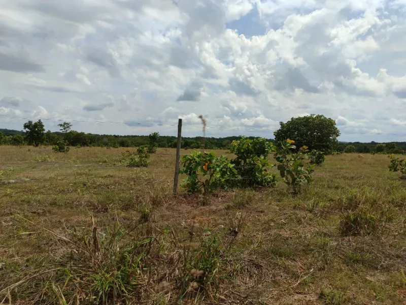 Fazenda em Dois Irmãos do Tocantins/Tocantins — Ref CXCQXE — Imagem 5