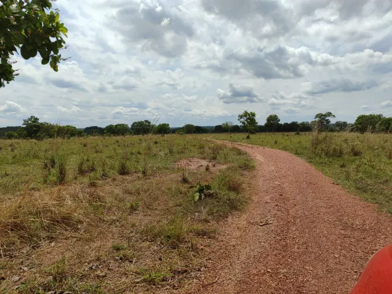Fazenda em Dois Irmãos do Tocantins/Tocantins — Ref CXCQXE — Imagem 6