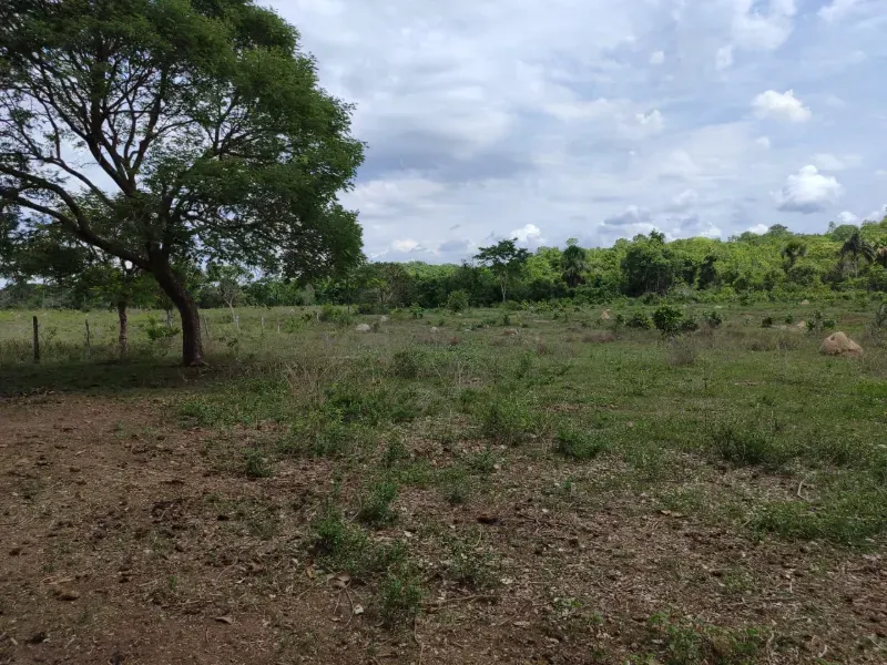 Fazenda em Dois Irmãos do Tocantins/Tocantins — Ref CXCQXE — Imagem 9