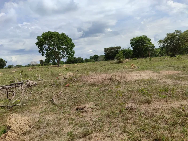 Fazenda em Dois Irmãos do Tocantins/Tocantins — Ref CXCQXE — Imagem 11