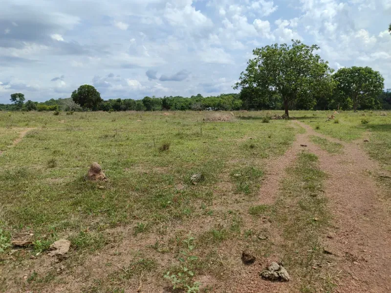 Fazenda em Dois Irmãos do Tocantins/Tocantins — Ref CXCQXE — Imagem 12
