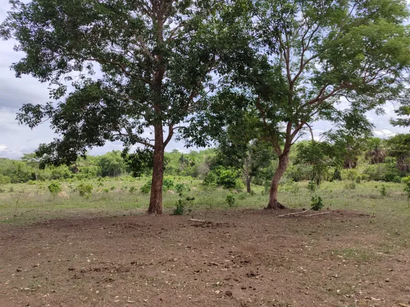 Fazenda em Dois Irmãos do Tocantins/Tocantins — Ref CXCQXE — Imagem 14