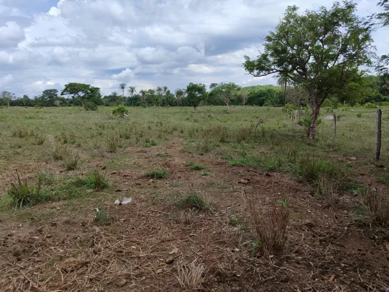 Fazenda em Dois Irmãos do Tocantins/Tocantins — Ref CXCQXE — Imagem 15