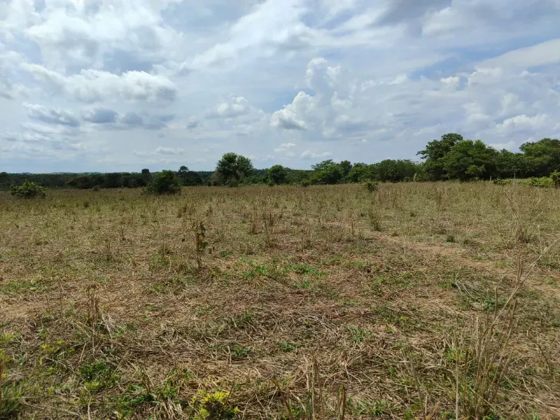 Fazenda em Dois Irmãos do Tocantins/Tocantins — Ref CXCQXE — Imagem 16