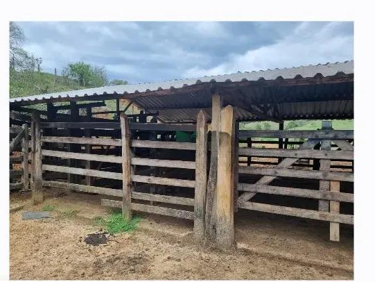 Fazenda em Juiz de Fora/Minas Gerais — Ref 162PDT — Imagem 29