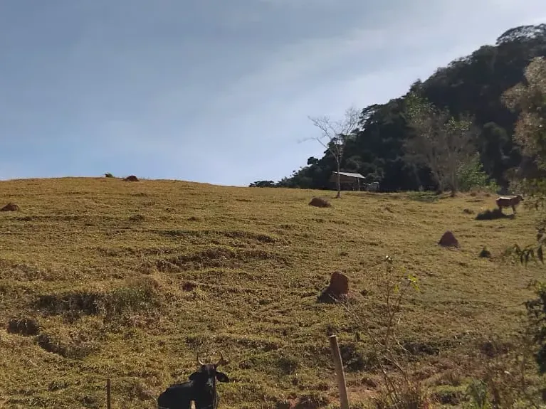 Fazenda em Juiz de Fora/Minas Gerais — Ref 162PDT — Imagem 30