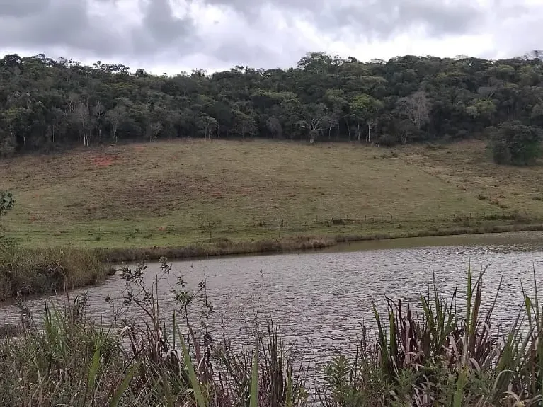 Fazenda em Juiz de Fora/Minas Gerais — Ref 162PDT — Imagem 31