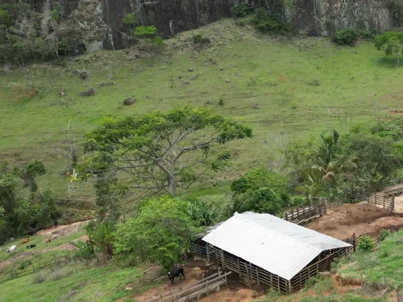Fazenda em Juiz de Fora/Minas Gerais — Ref 162PDT — Imagem 2