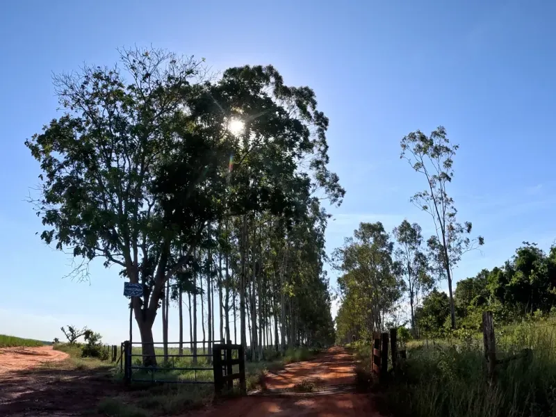 Fazenda em Aparecida do Taboado/Mato Grosso do Sul — Ref YUU730 — Imagem 17