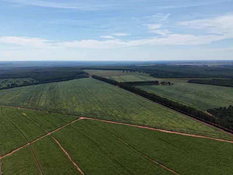 Imóvel rural em Aparecida do Taboado/Mato Grosso do Sul — Ref YUU7301
