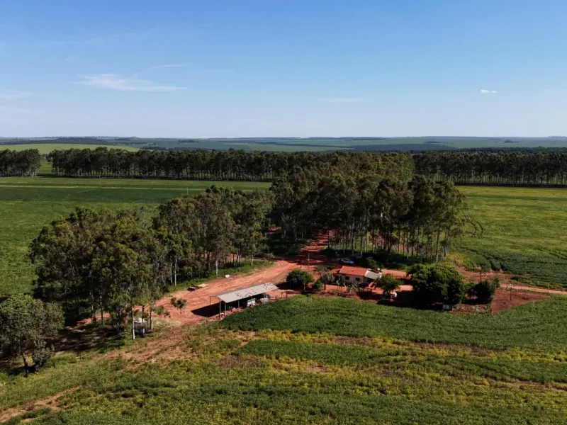 Fazenda em Aparecida do Taboado/Mato Grosso do Sul — Ref YUU730 — Imagem 18