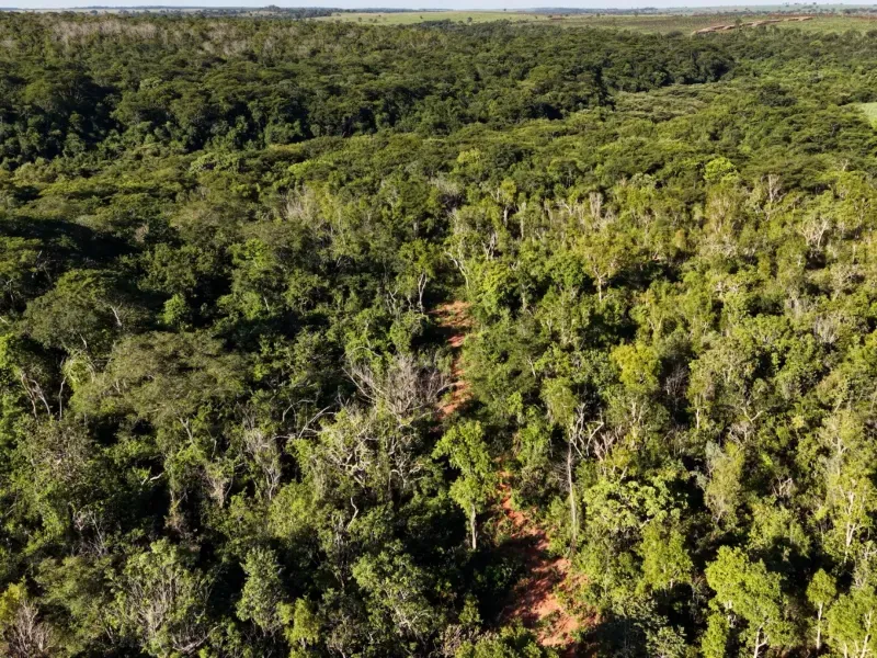 Fazenda em Aparecida do Taboado/Mato Grosso do Sul — Ref YUU730 — Imagem 29