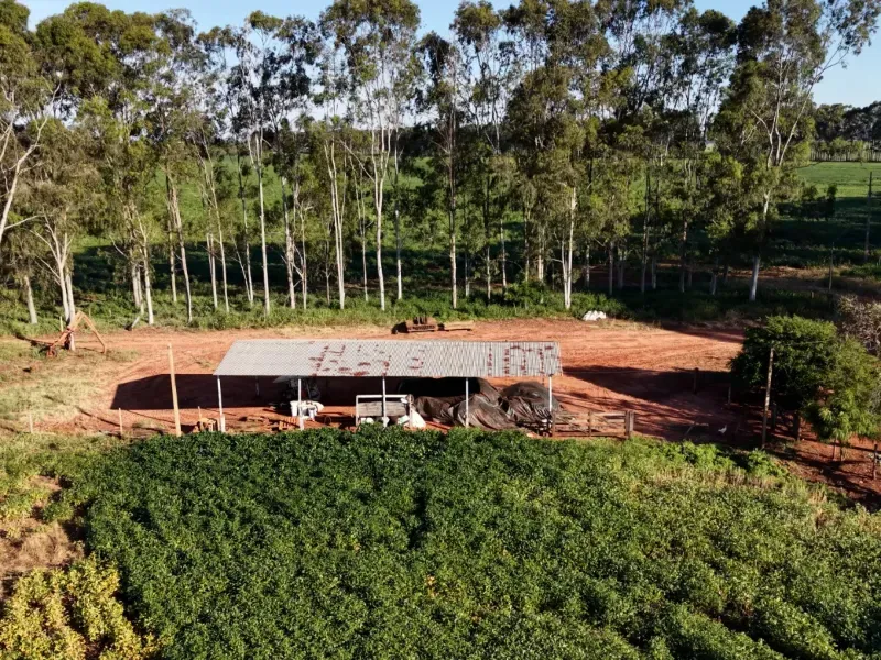 Fazenda em Aparecida do Taboado/Mato Grosso do Sul — Ref YUU730 — Imagem 19