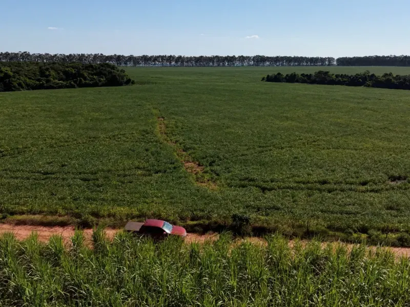 Fazenda em Aparecida do Taboado/Mato Grosso do Sul — Ref YUU730 — Imagem 10