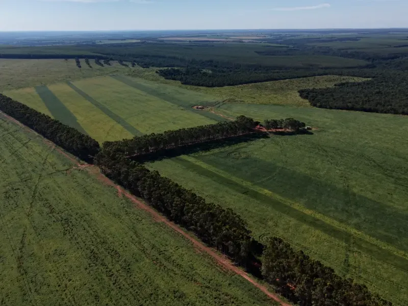 Fazenda em Aparecida do Taboado/Mato Grosso do Sul — Ref YUU730 — Imagem 6