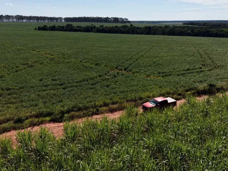 Fazenda em Aparecida do Taboado/Mato Grosso do Sul — Ref YUU730 — Imagem 2
