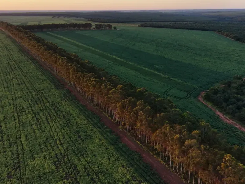 Fazenda em Aparecida do Taboado/Mato Grosso do Sul — Ref YUU730 — Imagem 8