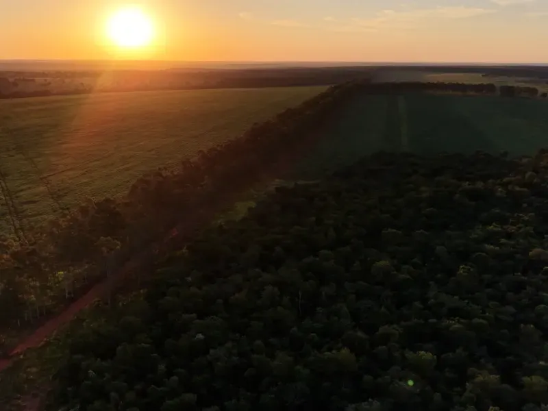 Fazenda em Aparecida do Taboado/Mato Grosso do Sul — Ref YUU730 — Imagem 30