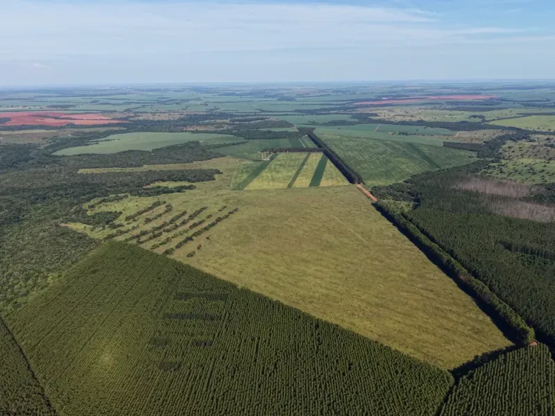 Fazenda em Aparecida do Taboado/Mato Grosso do Sul — Ref YUU730 — Imagem 7