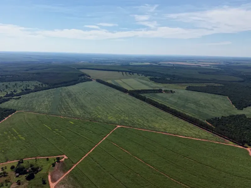 Fazenda em Aparecida do Taboado/Mato Grosso do Sul — Ref YUU730 — Imagem 4