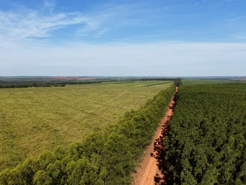 Fazenda em Aparecida do Taboado/Mato Grosso do Sul — Ref YUU730 — Imagem 11
