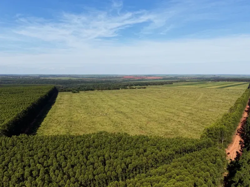 Fazenda em Aparecida do Taboado/Mato Grosso do Sul — Ref YUU730 — Imagem 12