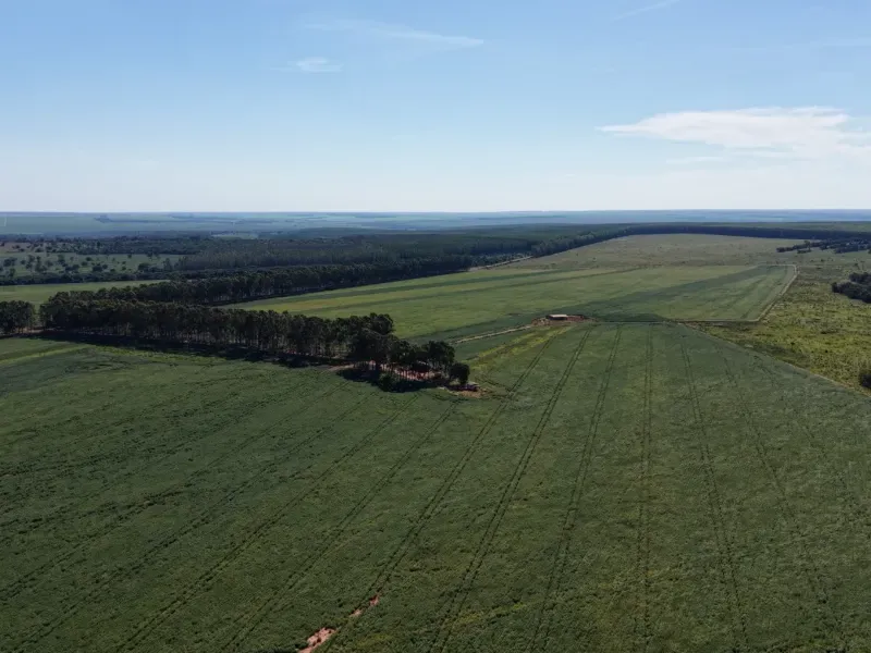 Fazenda em Aparecida do Taboado/Mato Grosso do Sul — Ref YUU730 — Imagem 31