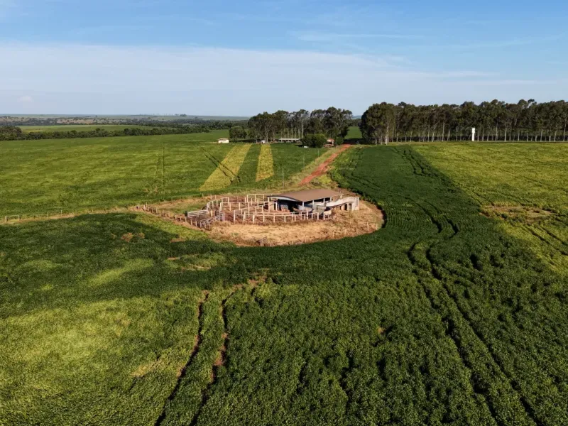 Fazenda em Aparecida do Taboado/Mato Grosso do Sul — Ref YUU730 — Imagem 22