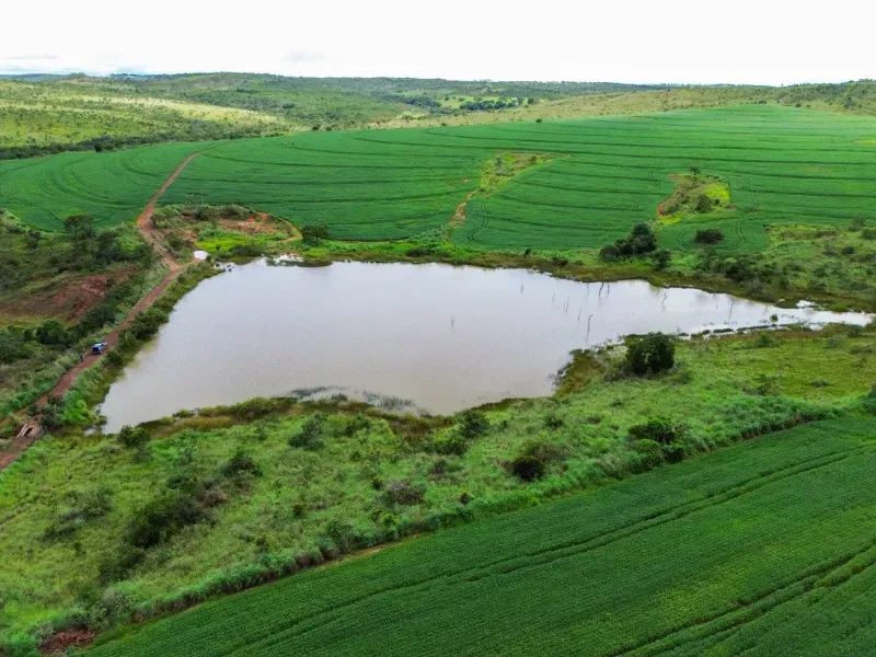 Fazenda em Flores de Goiás/Goiás — Ref 5581IP — Imagem 11