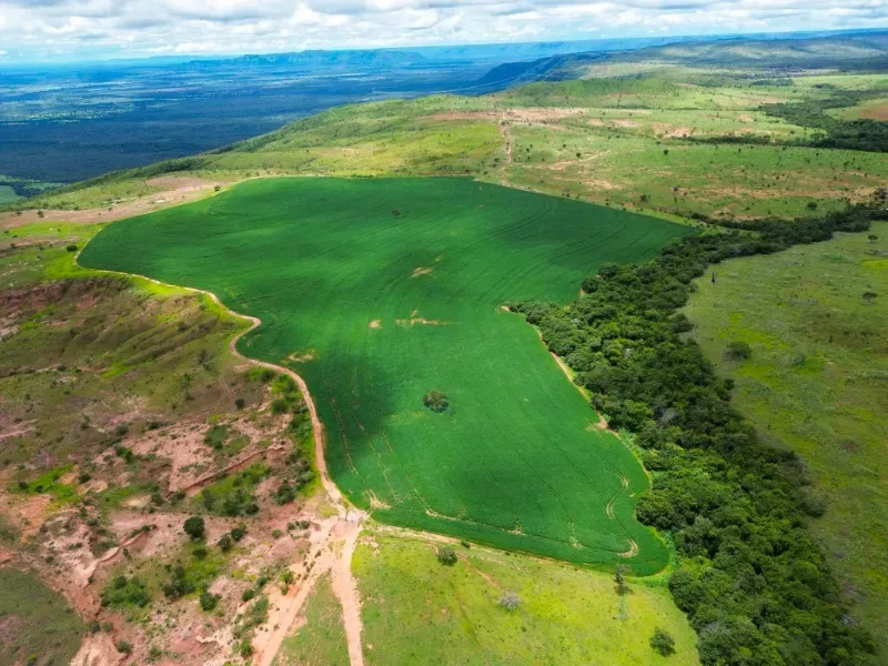 Fazenda em Flores de Goiás/Goiás — Ref 5581IP — Imagem 14