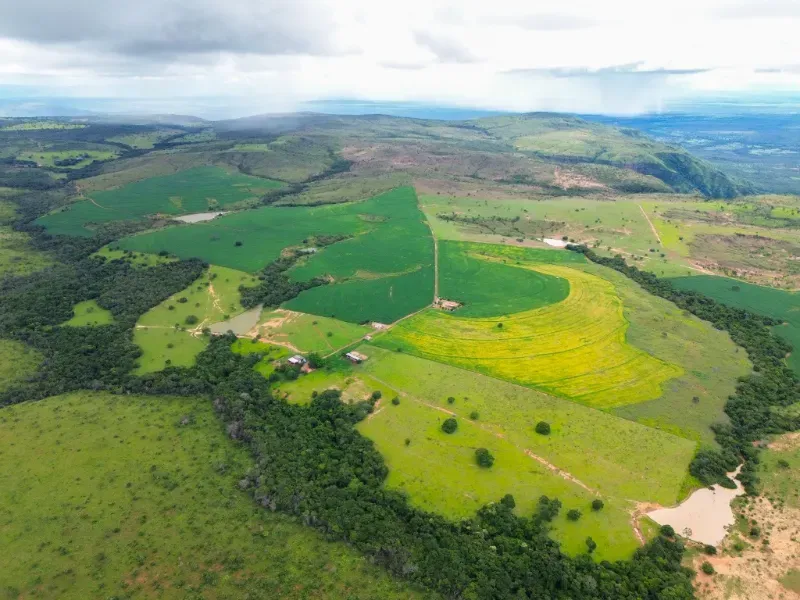 Fazenda em Flores de Goiás/Goiás — Ref 5581IP — Imagem 15