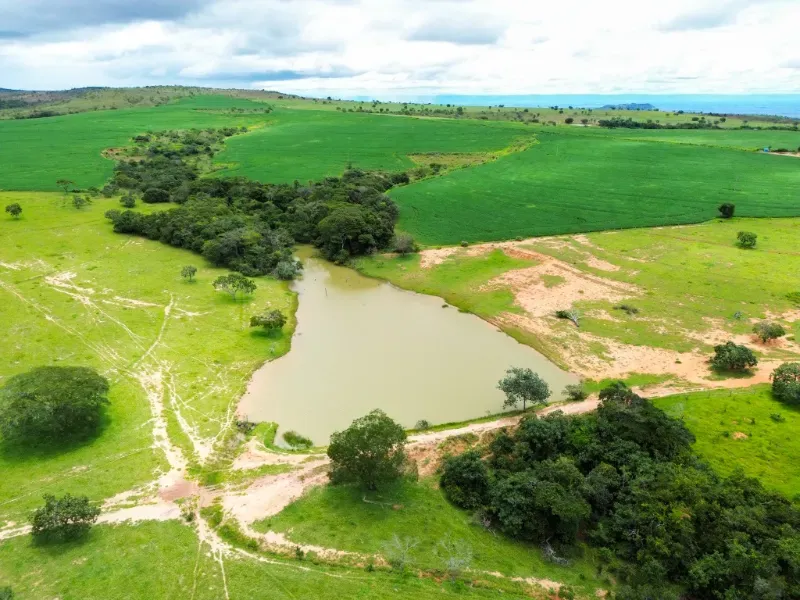 Fazenda em Flores de Goiás/Goiás — Ref 5581IP — Imagem 12