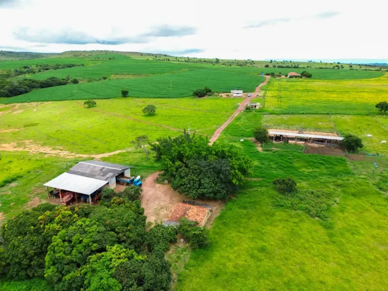 Fazenda em Flores de Goiás/Goiás — Ref 5581IP — Imagem 6